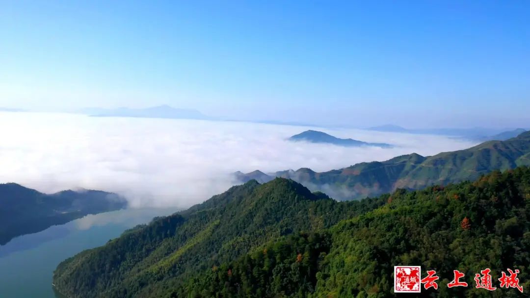 喜訊！咸寧多了一個(gè)“中國(guó)天然氧吧”